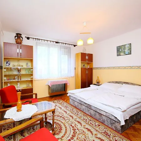 펜션 Holiday Balaton H2044 *